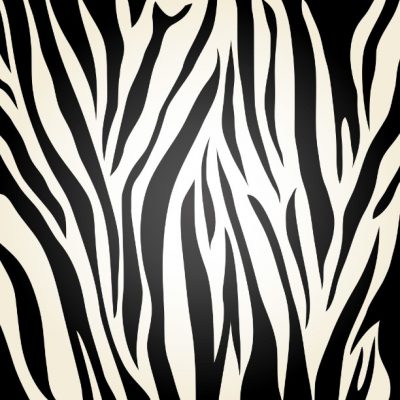 Zebra Skins - Something Different Linen
